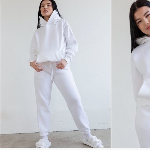 Aritzia Sweaters - Aritzia The perfect hoodie
